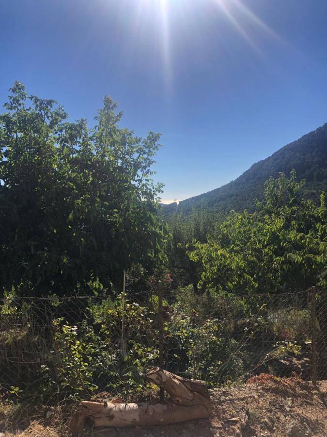 Appartamento U Vechju Fragnu Vezzani Esterno foto