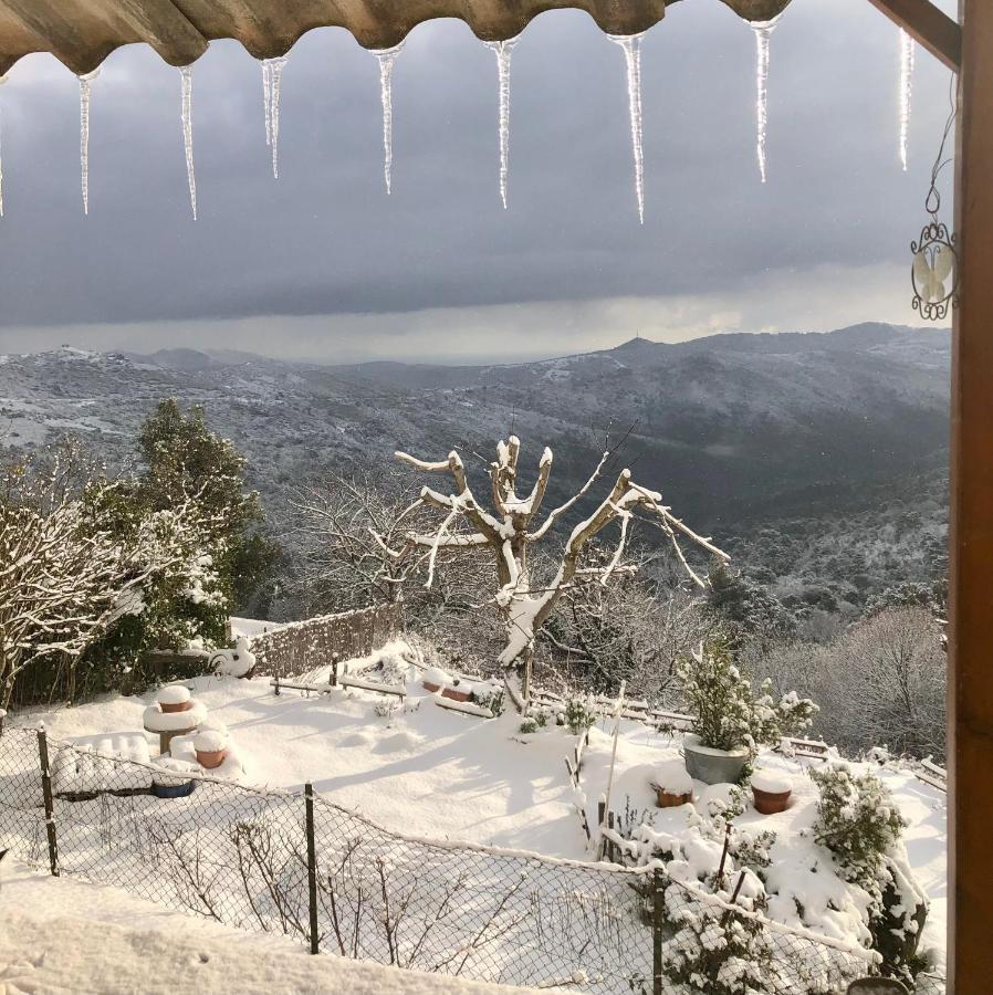 Appartamento U Vechju Fragnu Vezzani Esterno foto